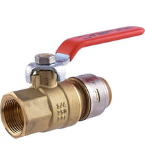 3/4 BALL VALVES/W ACCESS