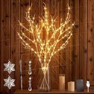 INDOOR BRANCH 01 CS(I)BJ-L166