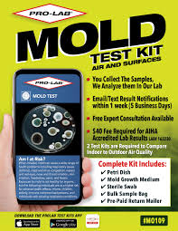 PRO LAD MOLD TEST KIT